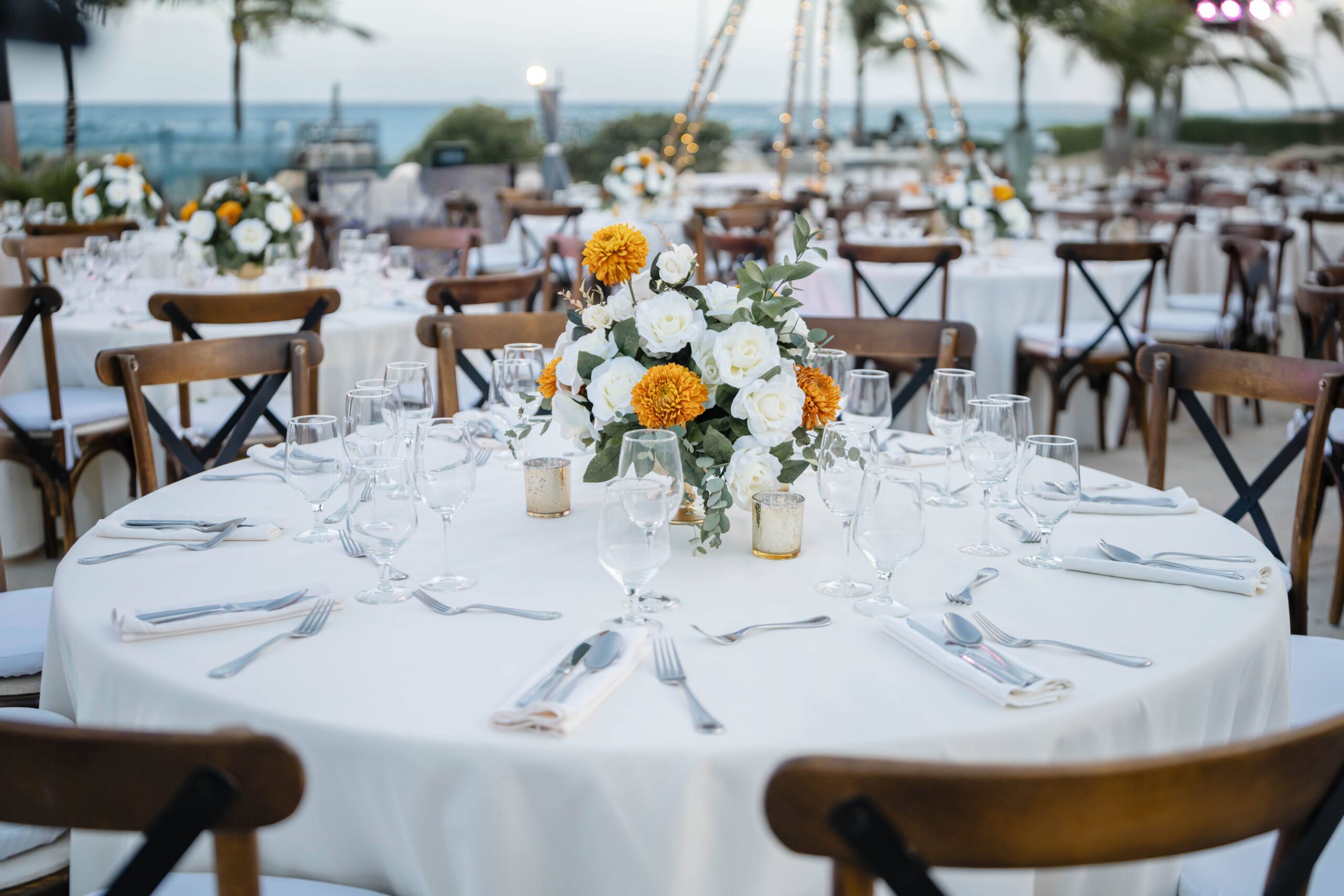 DSC03591 Editar scaled