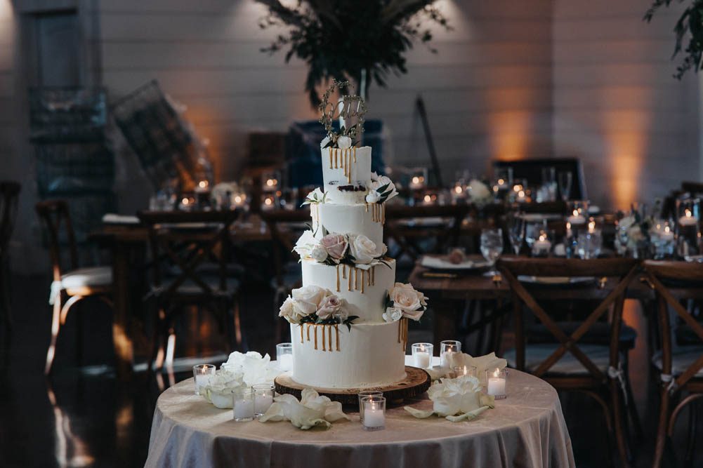 Indian Wedding Photography Boston PTaufiq Chestnut Ridge Reception 8