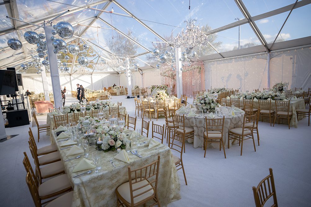 Indian Wedding Photography Destination Wedding Huntington New York Oheka Castle Reception 5