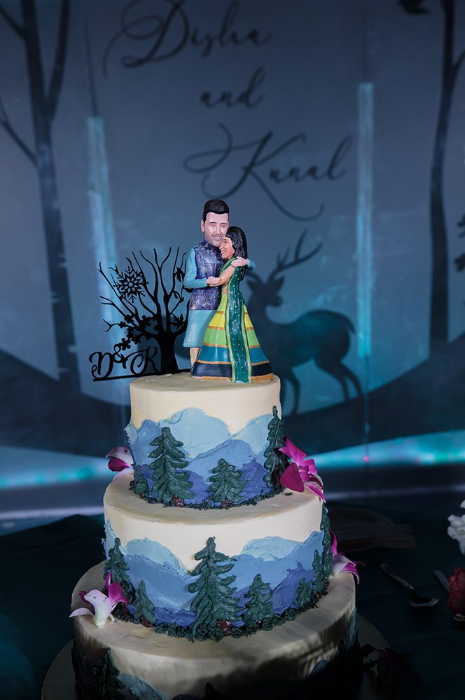 Indian Wedding Photography Destination Wedding India The Fern Hotels Resorts Reception 3