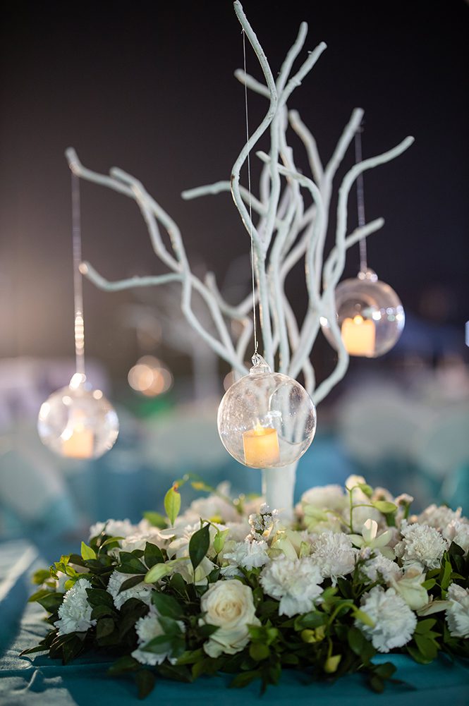 Indian Wedding Photography Destination Wedding India The Fern Hotels Resorts Reception 4