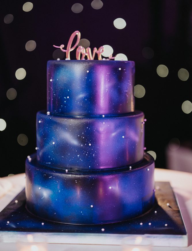 Indian Wedding Photography Reception Boston Ptaufiq Hyatt Regency Jersey City 4