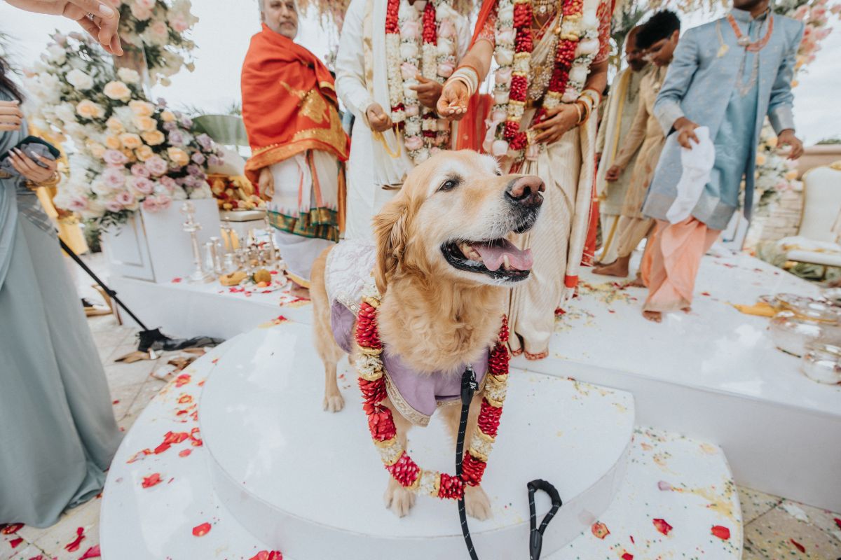 ptaufiq Indian wedding PGA National Resort in West Palm Beach Florida Ceremony 4